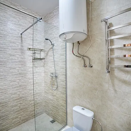 On Horodotska Street *