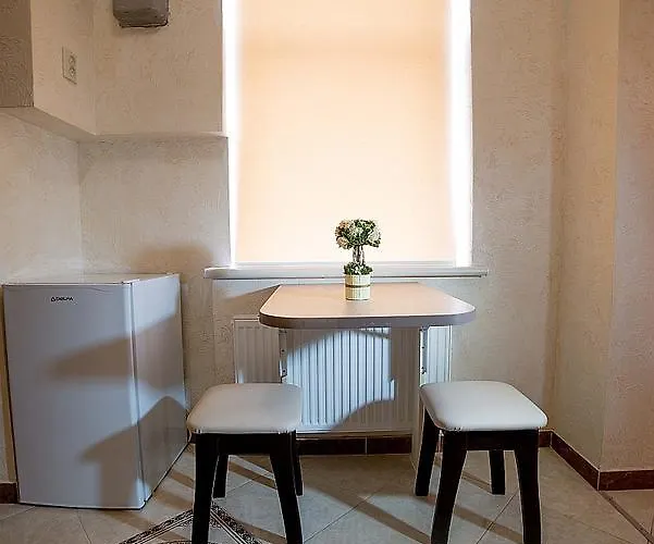 On Horodotska Street Leópolis